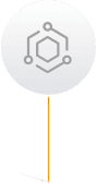 vector